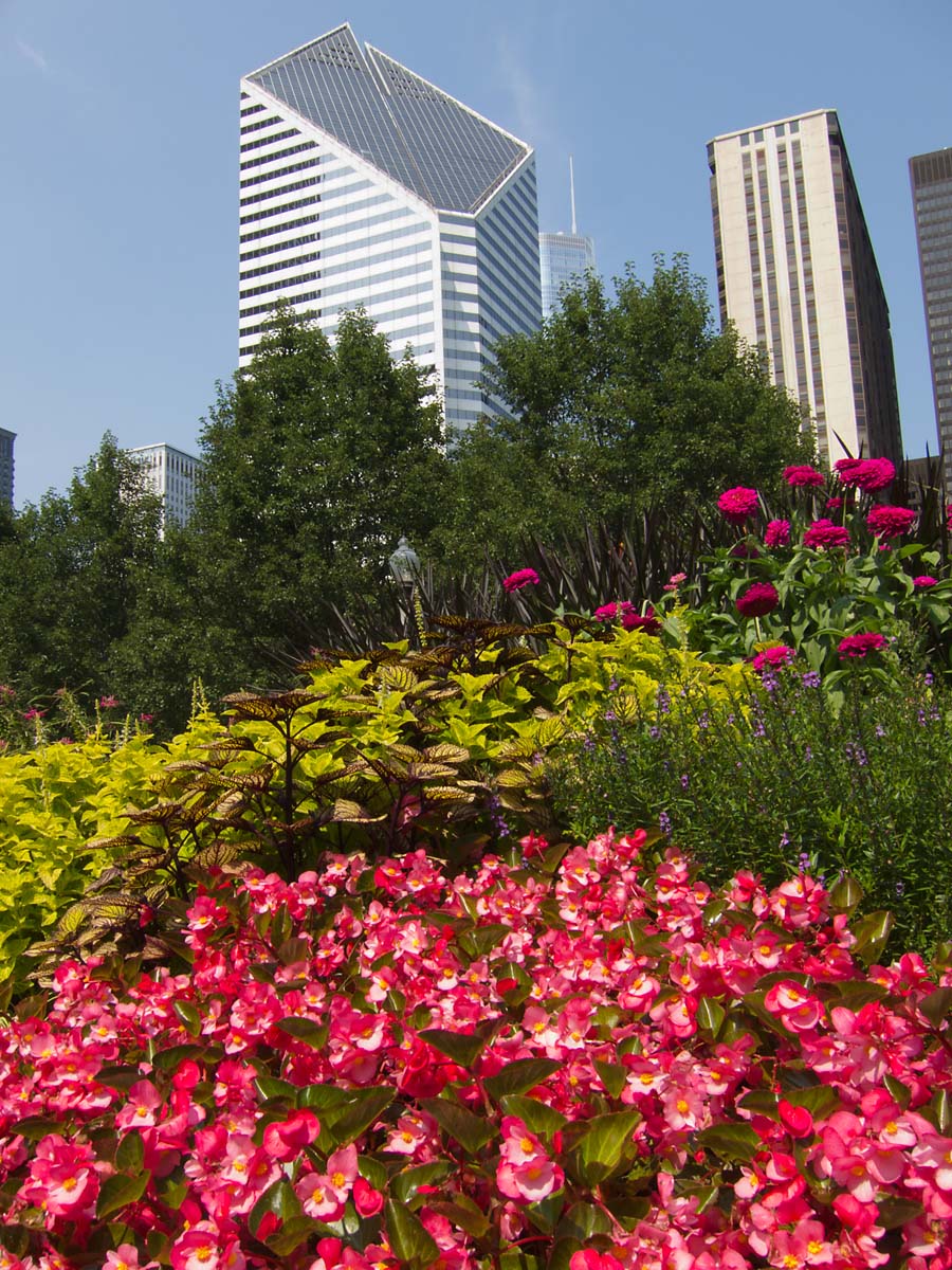 Smurfit Building, Chicago.  Click for next photo.