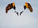 Army Golden Knights parachute team, Chicago Air and Water Show.