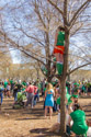 Nobody can see anything at the St. Patrick s Day Parade, Chicago.