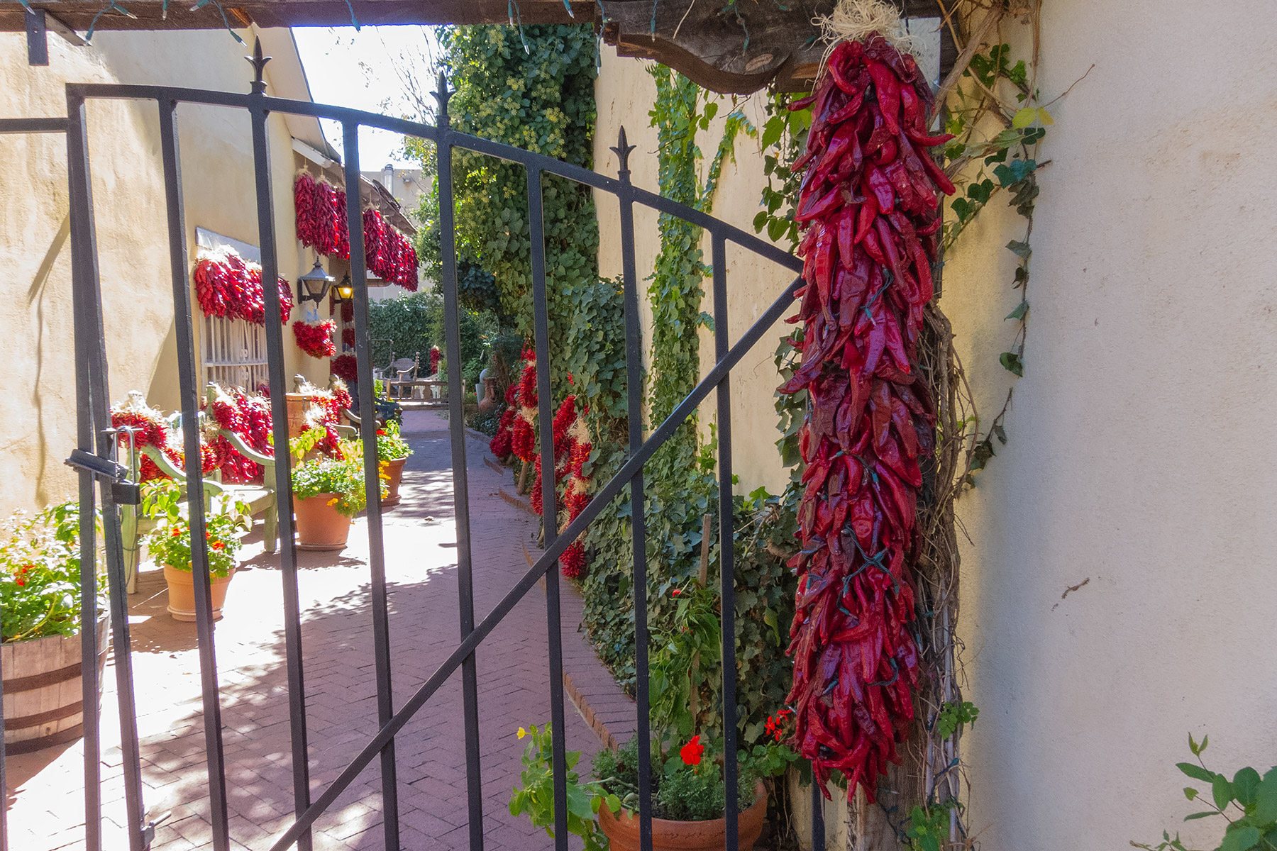 Old Town Albuquerque.  Click for next photo.