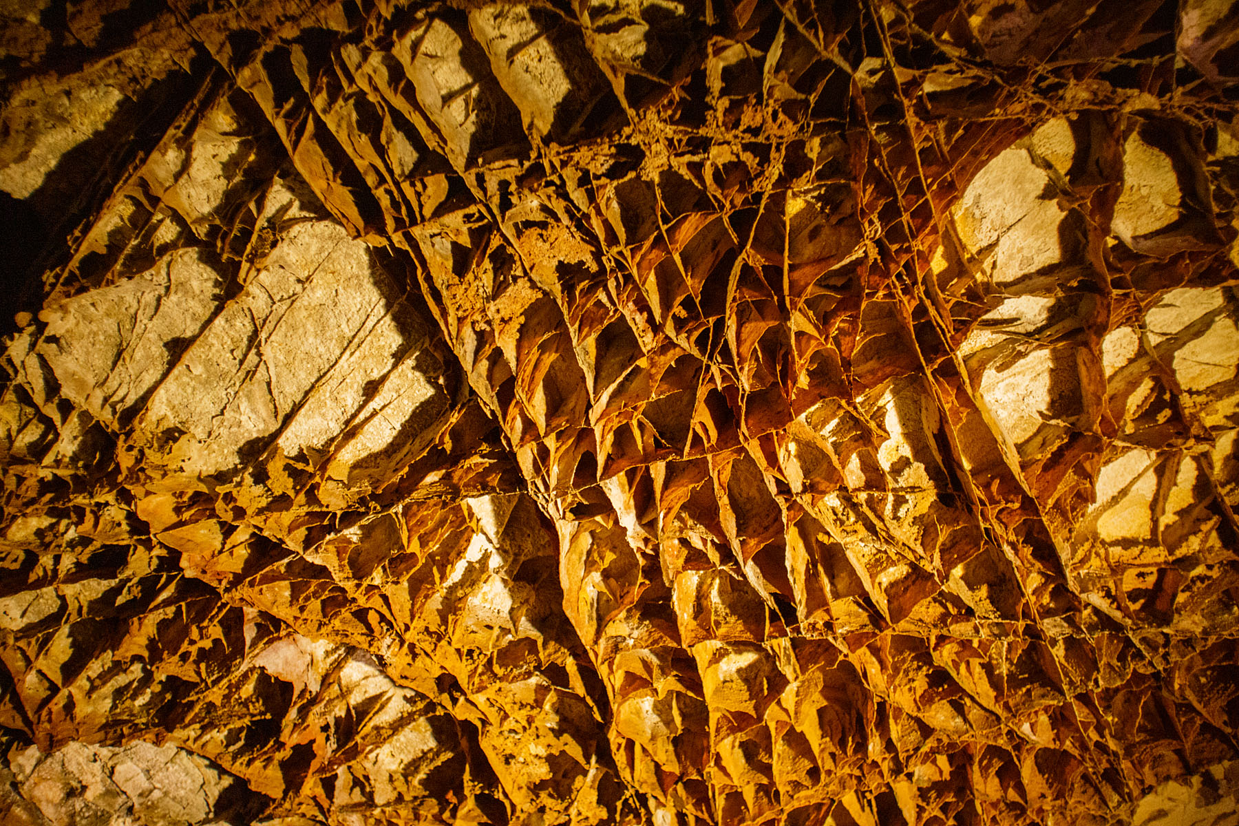 Boxwork speleothems formations, Wind Cave National Park.  Click for next photo.