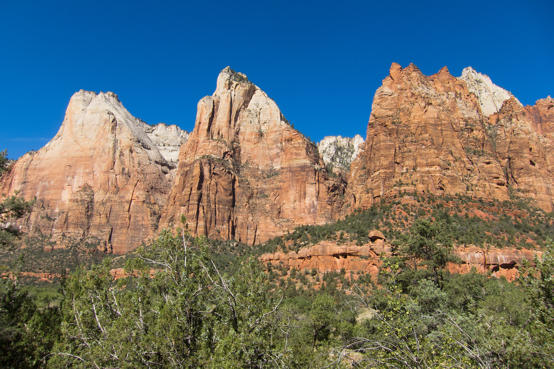 Three Patriarchs, Zion National Park.  Click for next photo.