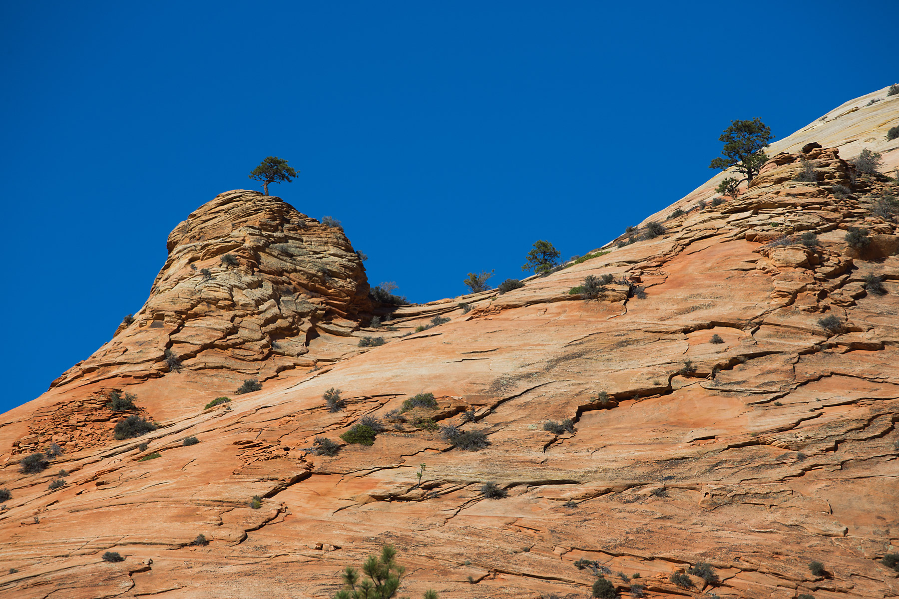 Zion National Park.  Click for next photo.