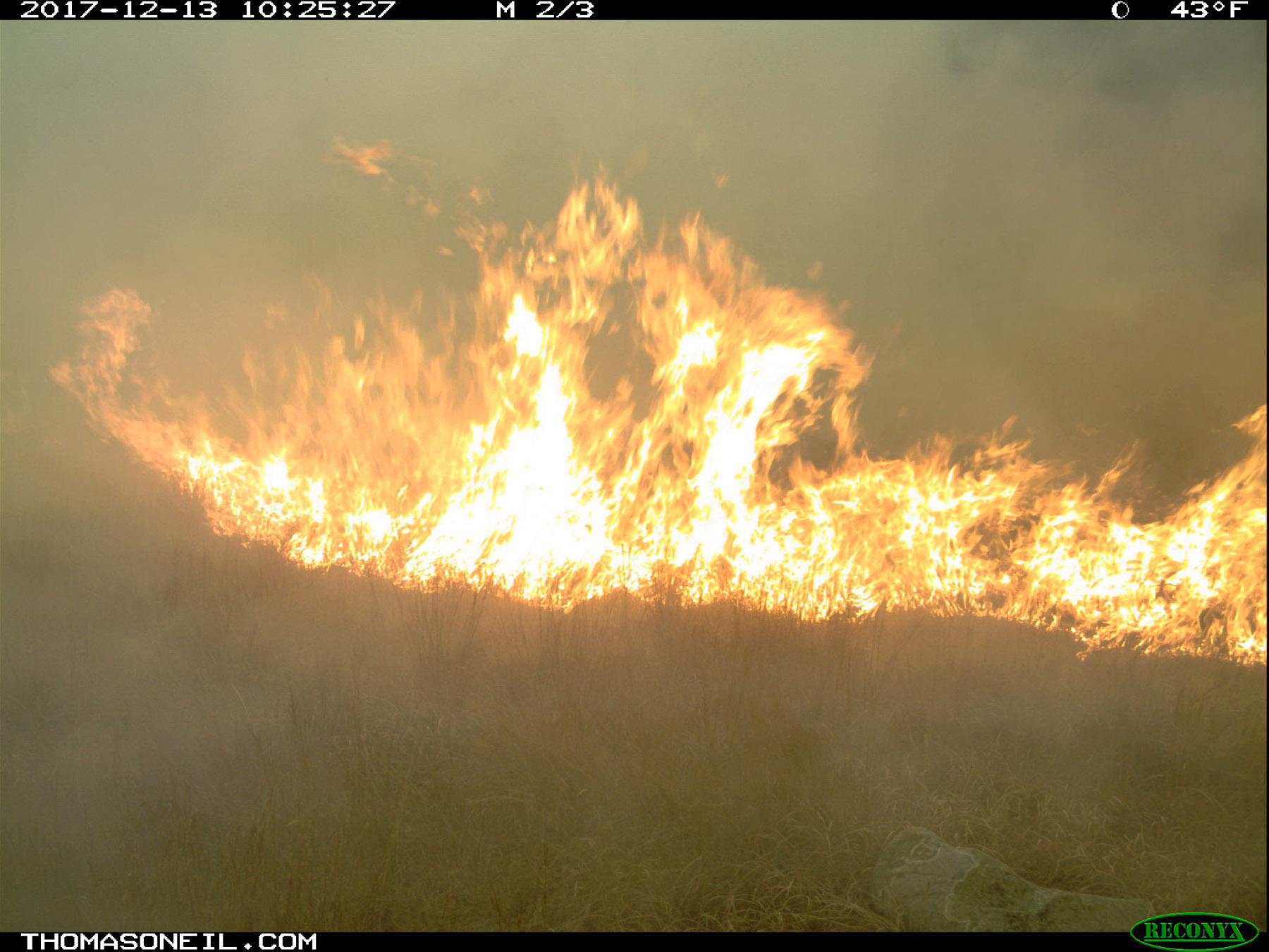 Big flare, Wind Cave National Park.  Click for next photo.