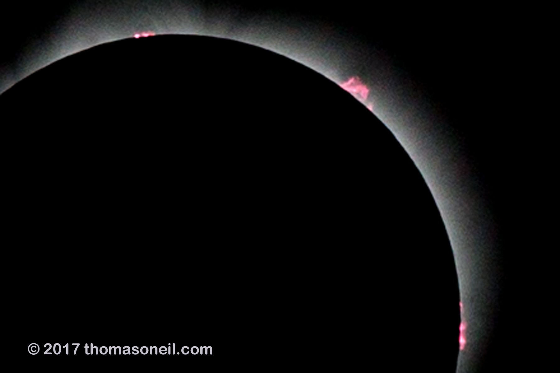 Solar eclipse, Aug. 21, 2017, a processed version of the previous image.  Very fast shutter speed (1/2500) reveals prominences rising from surface of the sun.  Click for next photo.