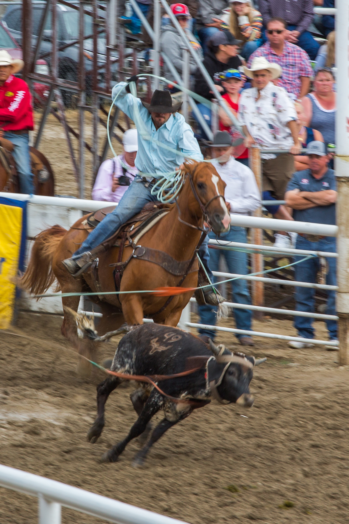 Team roping at Home of Champions Rodeo, Red Lodge, MT.  Click for next photo.