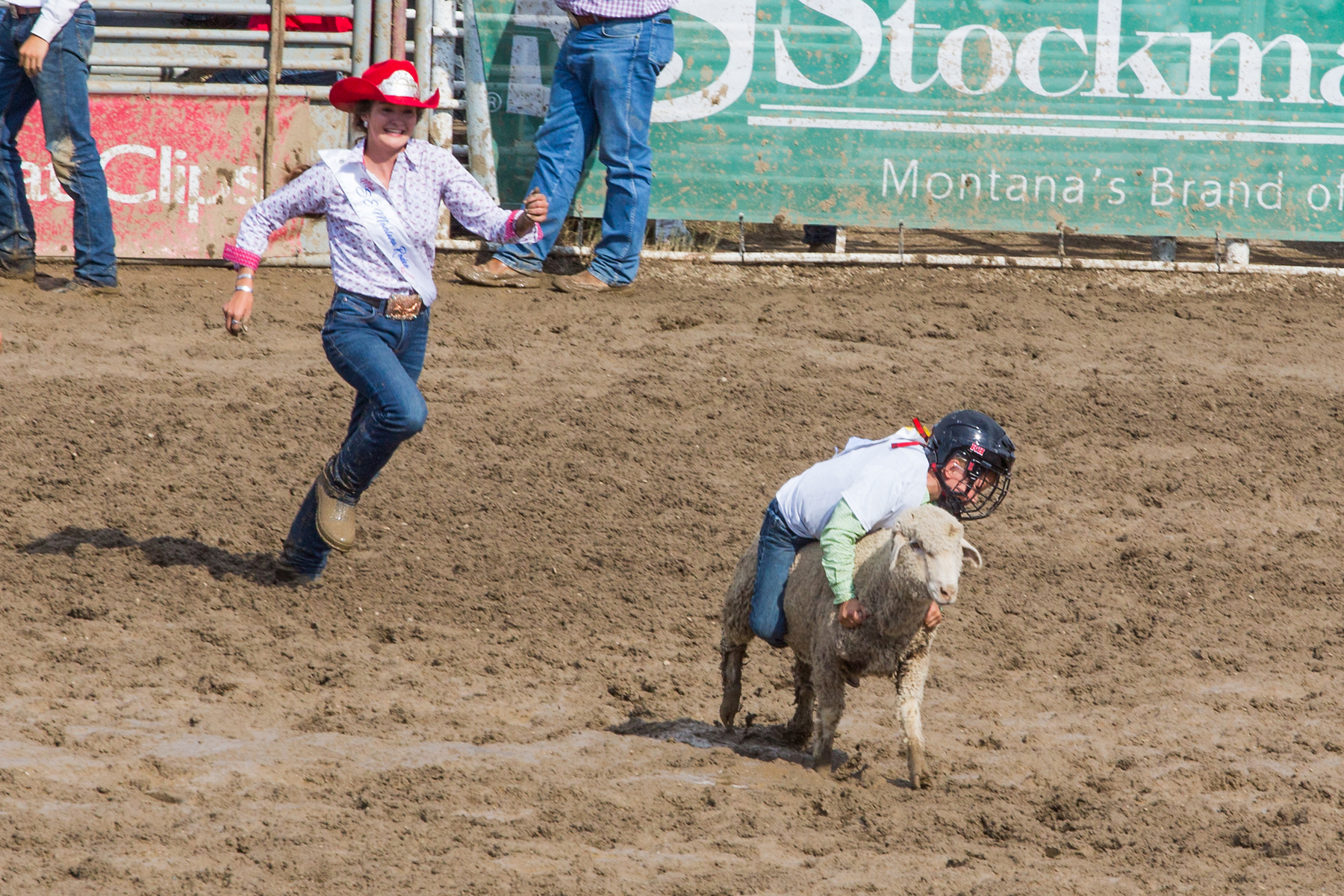 Mutton busting at Home of Champions Rodeo, Red Lodge, MT.  Click for next photo.
