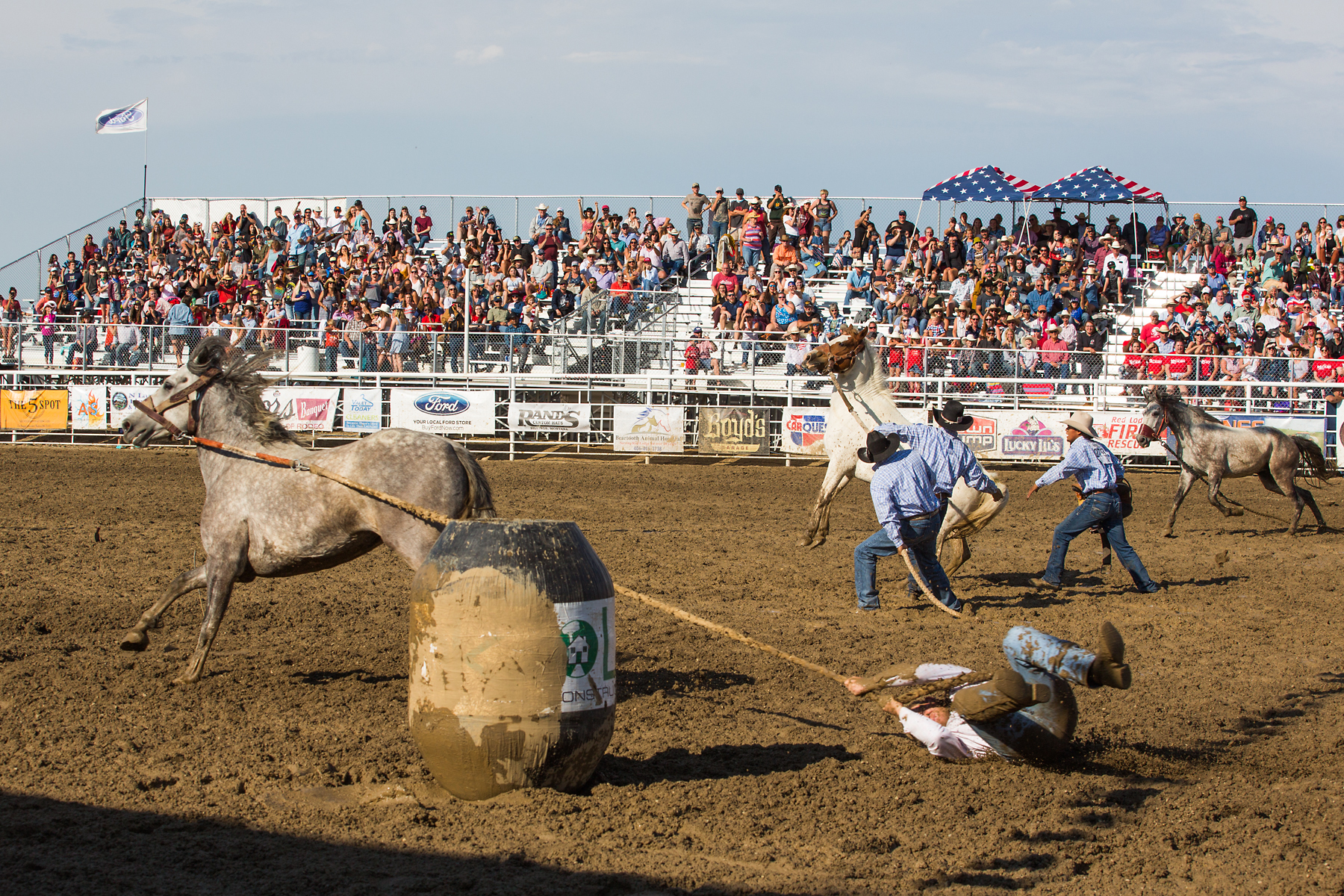 Wild horse racing at Home of Champions Rodeo, Red Lodge, MT.  Click for next photo.