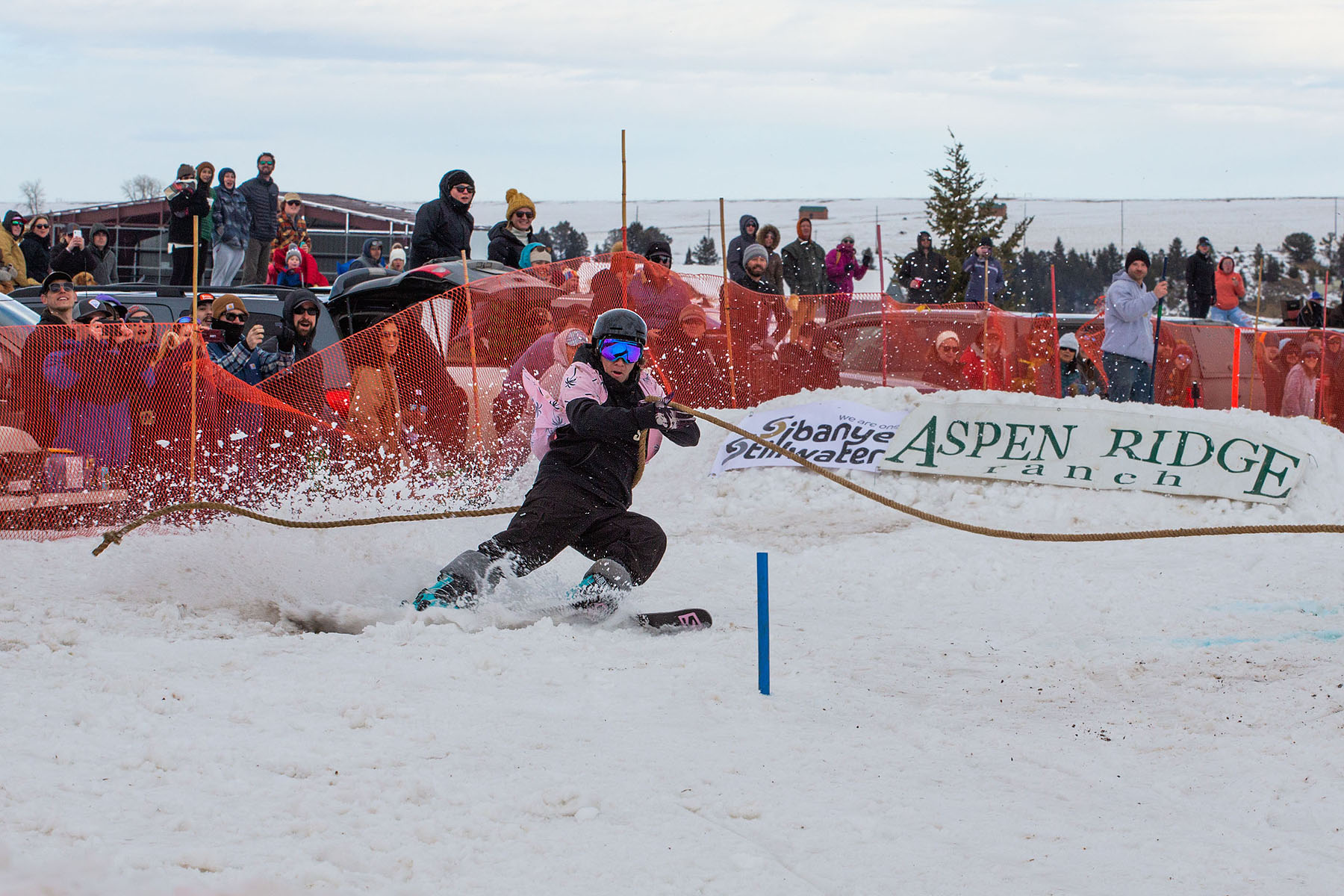 Ski Joring National Championships, Red Lodge, MT.  Click for next photo.