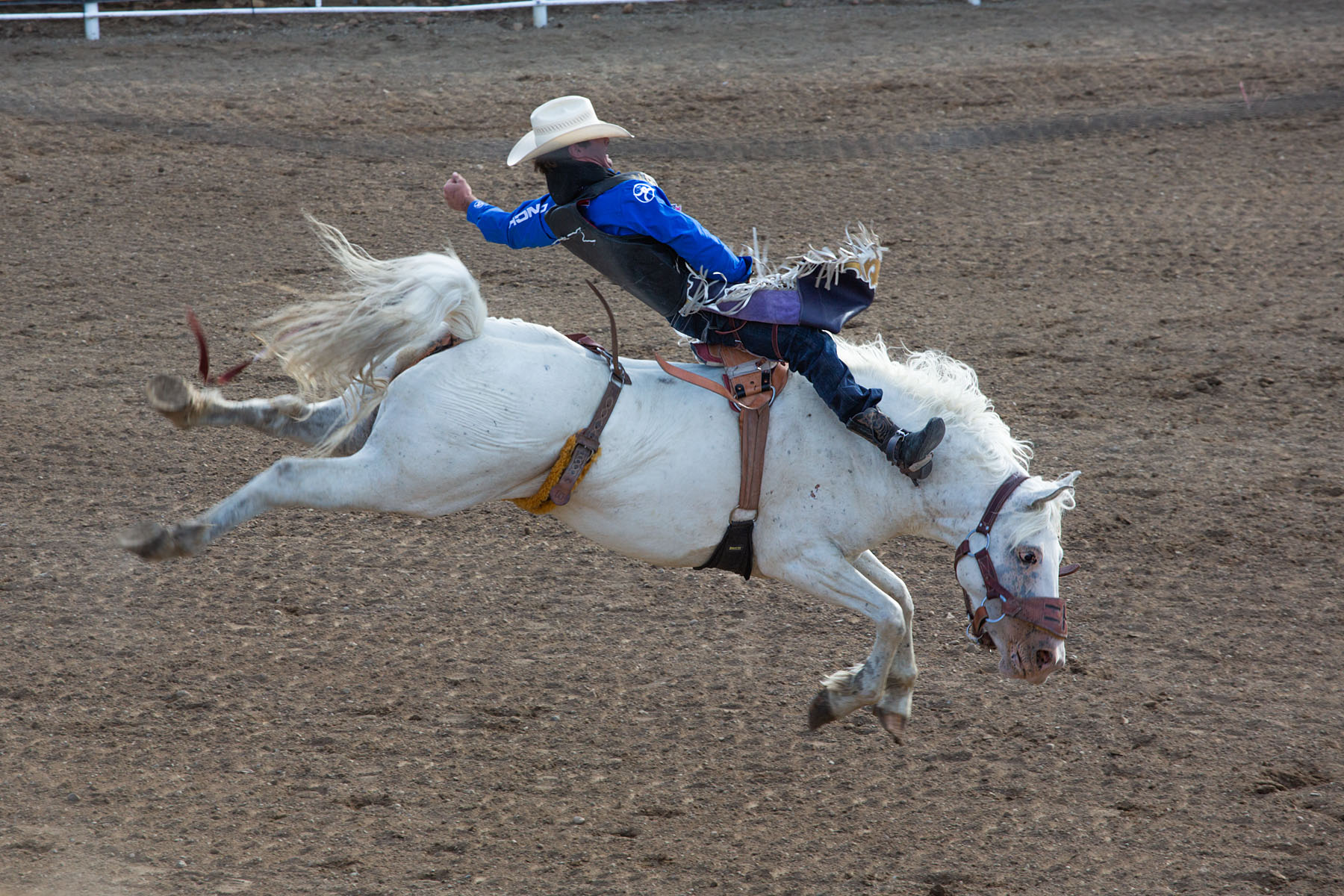 Red Lodge 4th of July rodeo.  Click for next photo.