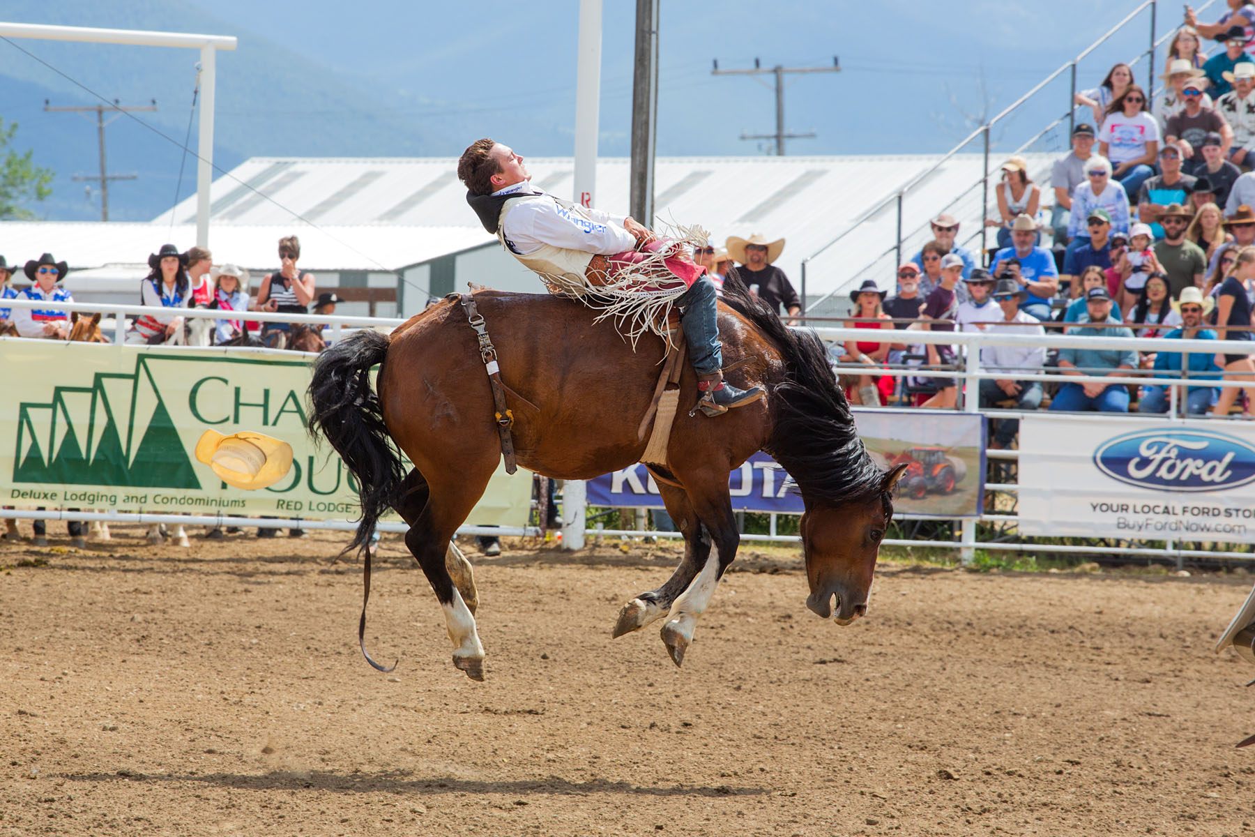 Bronc riding, Red Lodge 4th of July rodeo.  Click for next photo.