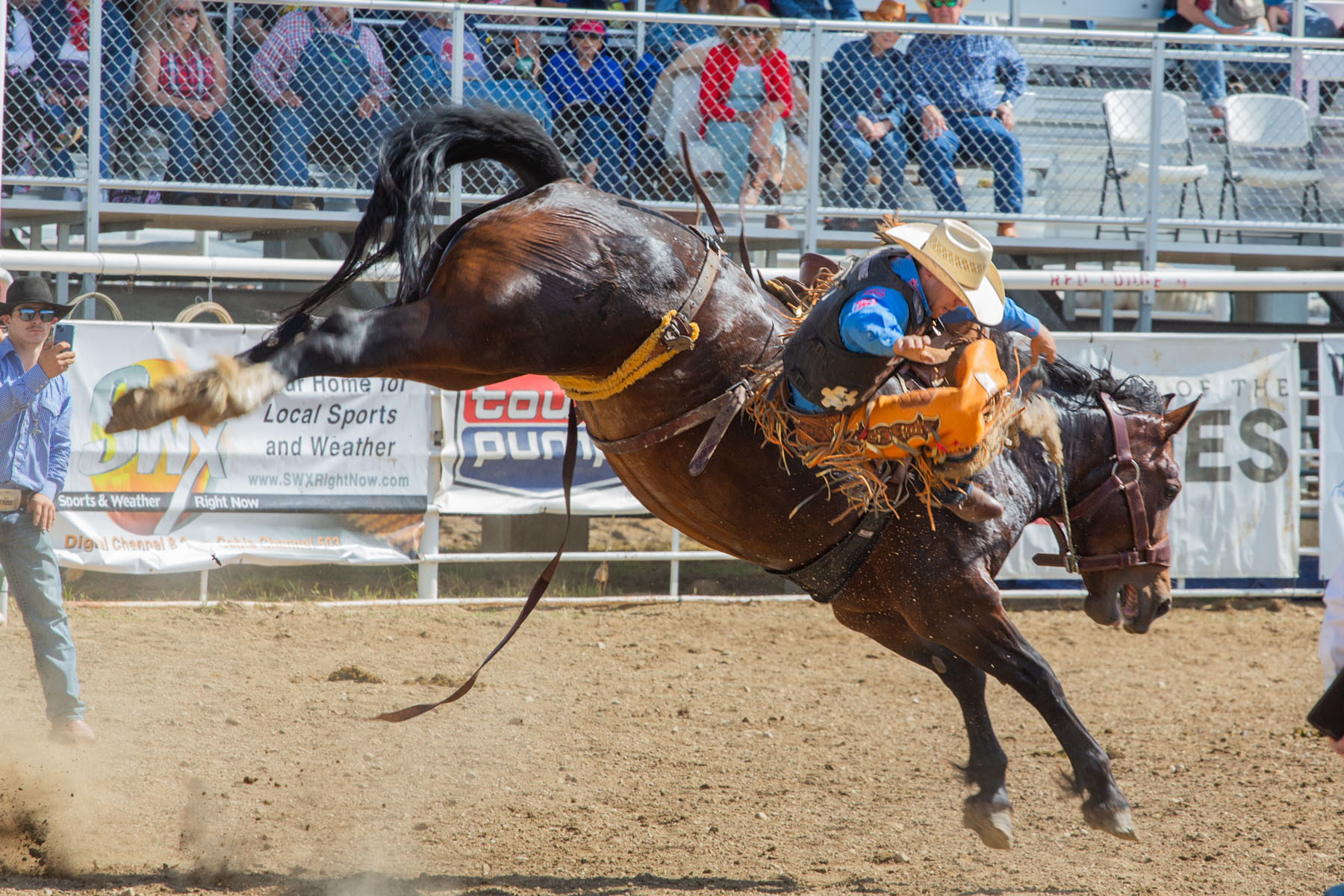 Saddle bronc, Red Lodge 4th of July rodeo.  Click for next photo.