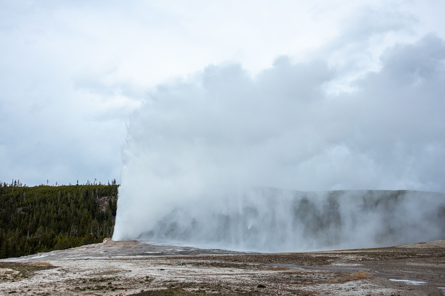Obligatory shot of Old Faithful, Yellowstone.  Click for next photo.