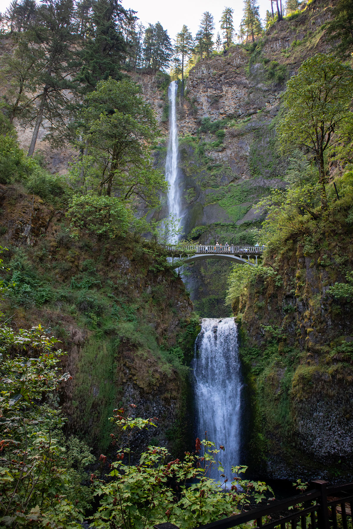Multnomah Falls, Oregon.  Click for next photo.