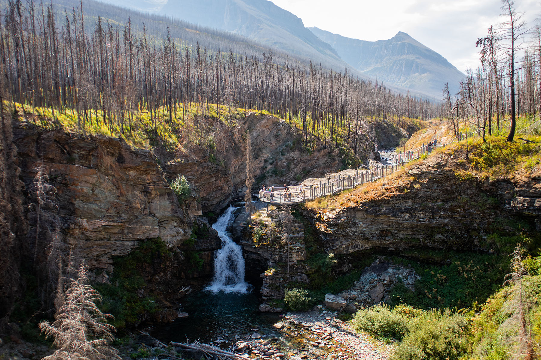 Waterton National Park, Canada.  Click for next photo.