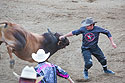 Rodeo clown tries to distract bull by grabbing the horn, Red Lodge 4th of July rodeo.