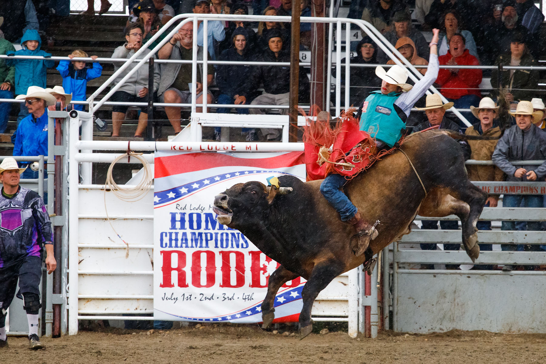 PRCA Xtreme Bulls, Red Lodge, MT.  Click for next photo.