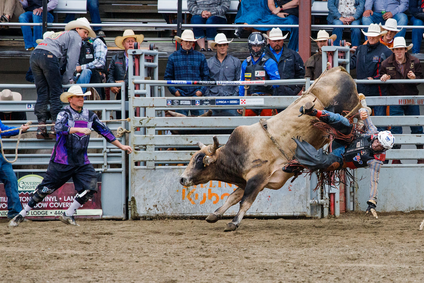 PRCA Xtreme Bulls, Red Lodge, MT.  Click for next photo.