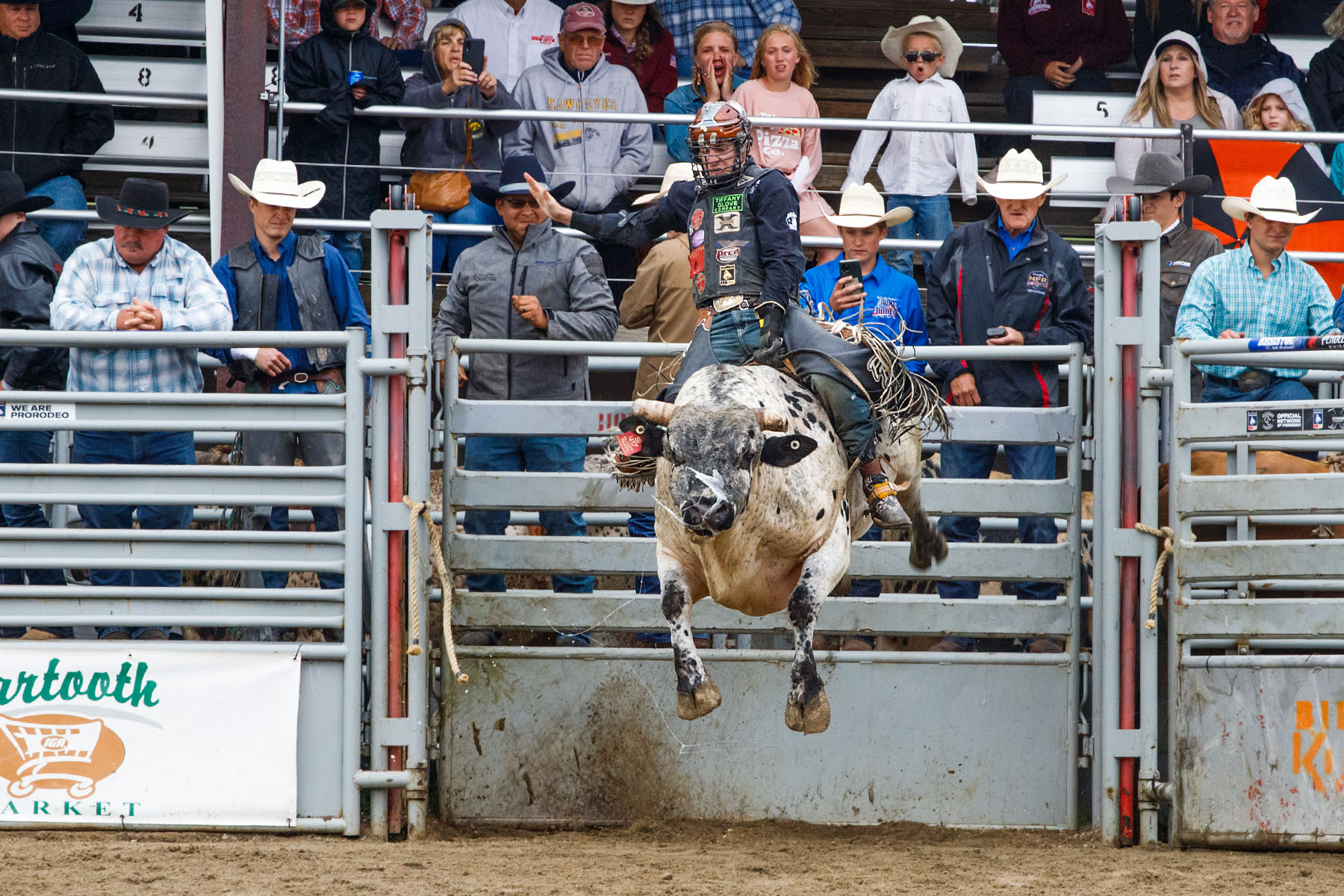 PRCA Xtreme Bulls, Red Lodge, MT.  Click for next photo.