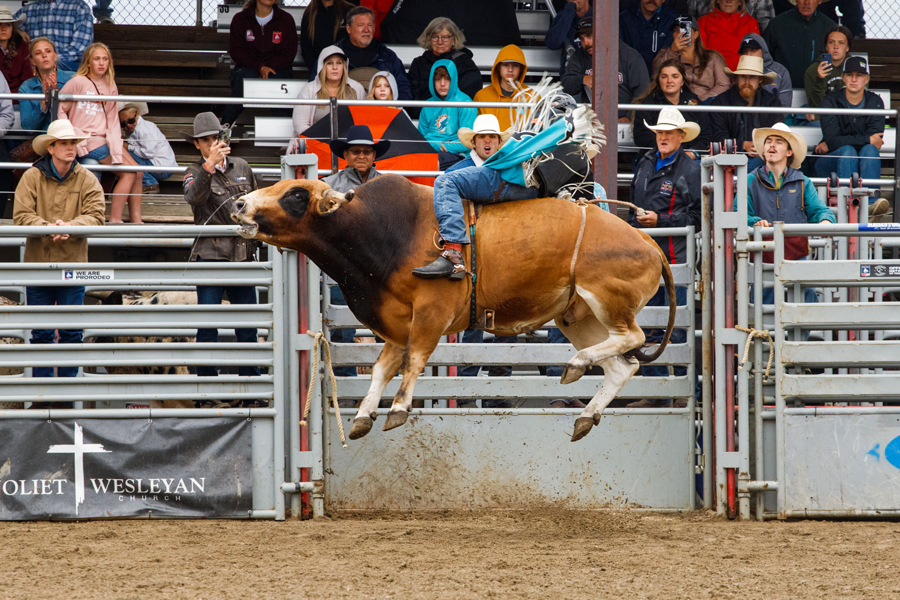 PRCA Xtreme Bulls, Red Lodge, MT.  Click for next photo.