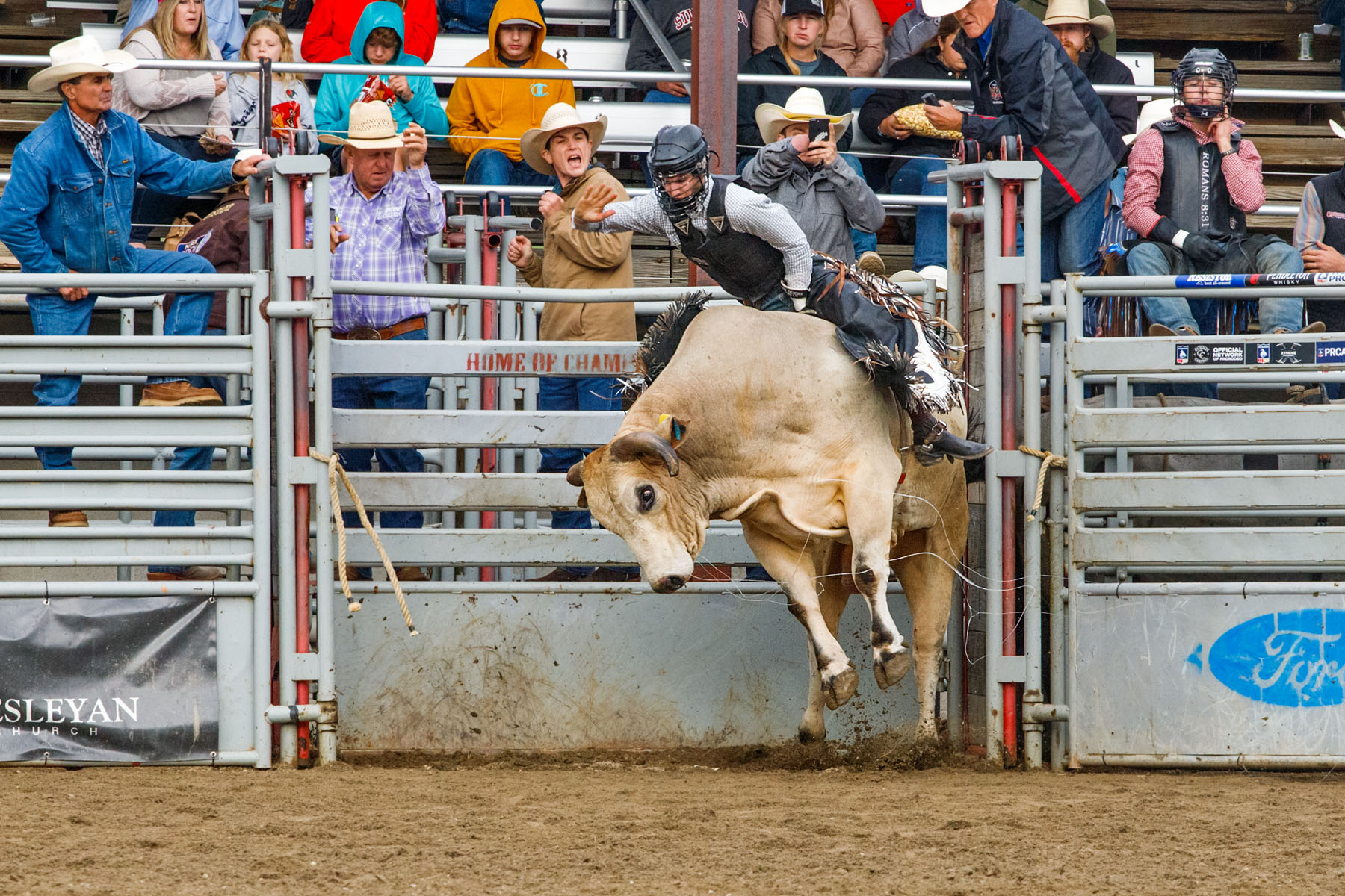 PRCA Xtreme Bulls, Red Lodge, MT.  Click for next photo.