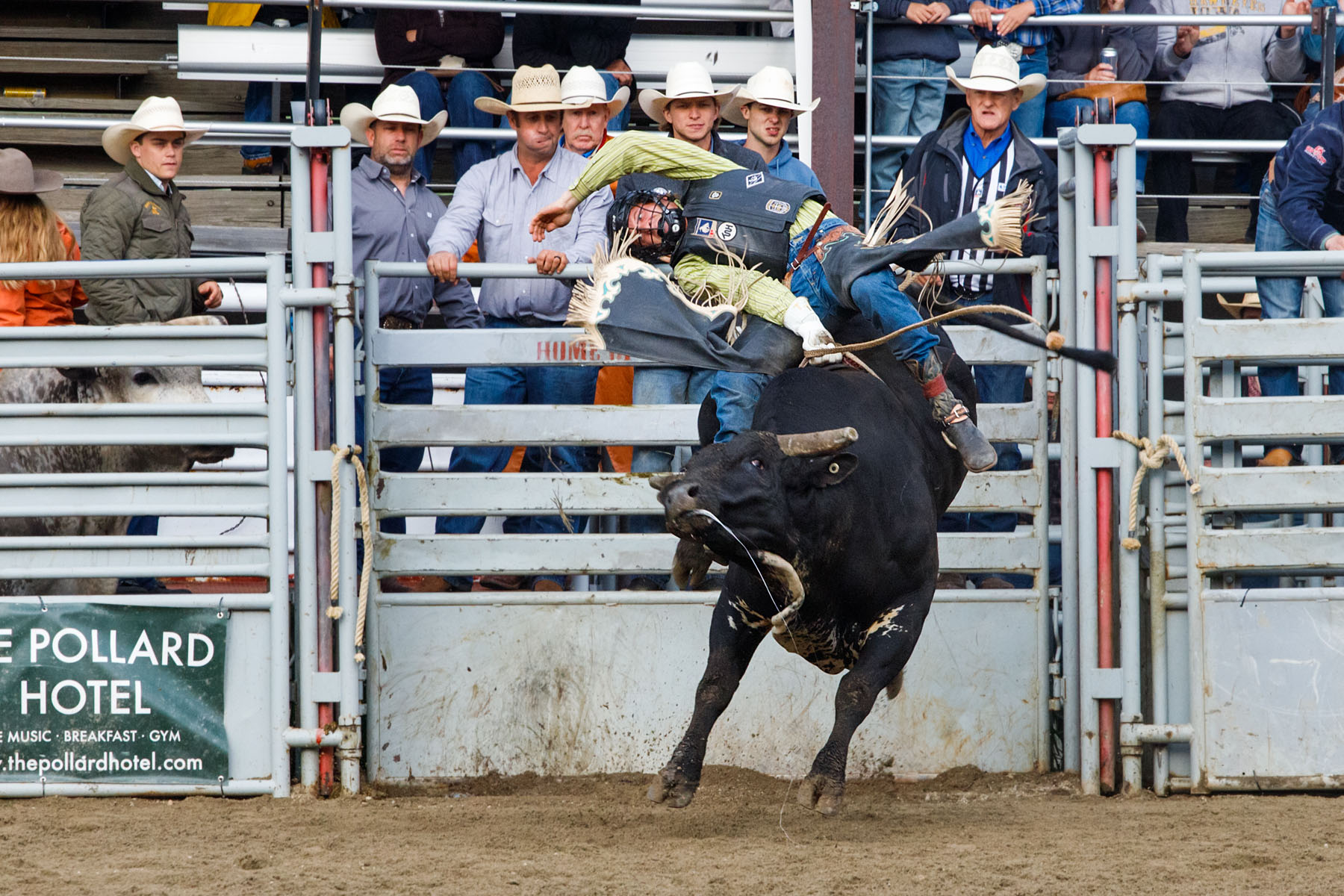 PRCA Xtreme Bulls, Red Lodge, MT.  Click for next photo.