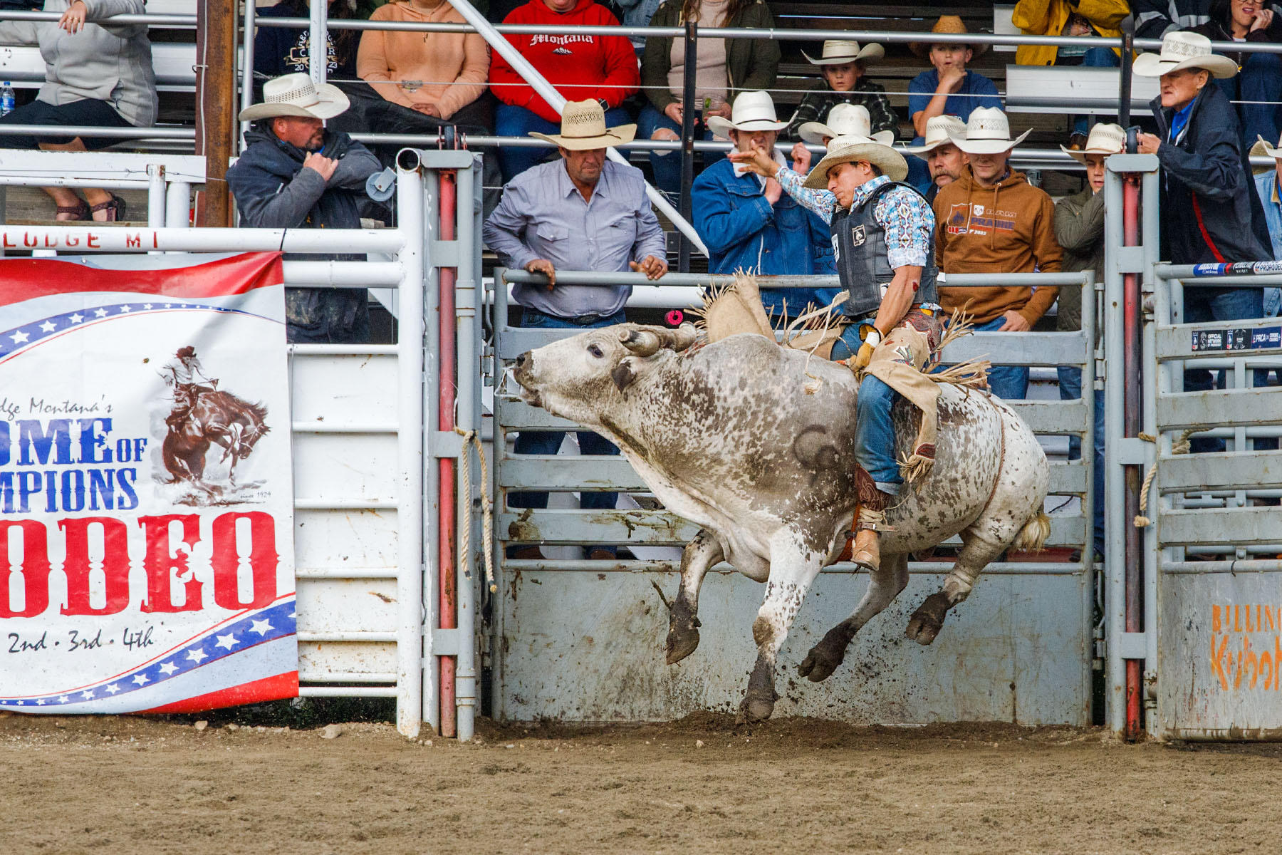 PRCA Xtreme Bulls, Red Lodge, MT.  Click for next photo.