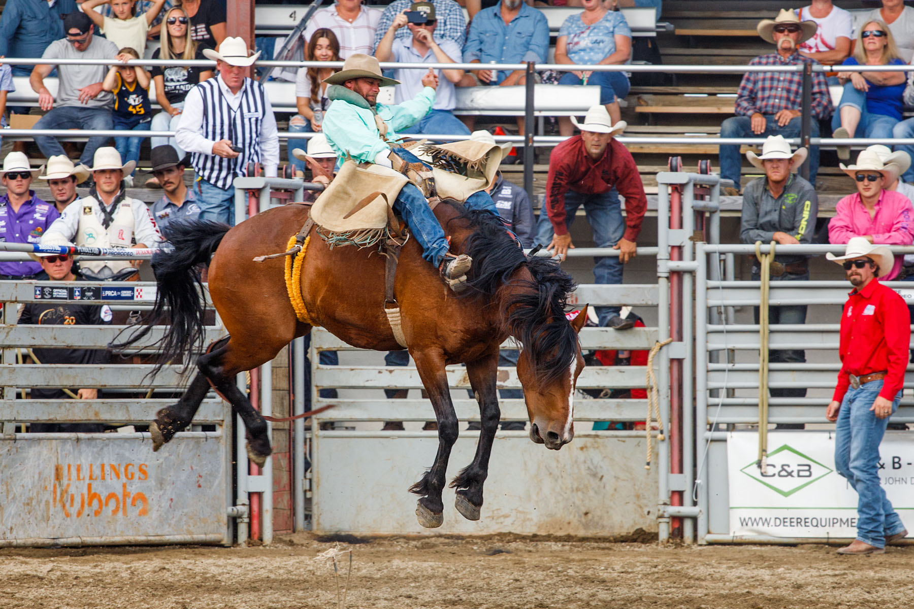Bareback Bronc, Home of Champions Rodeo, Red Lodge, MT.  Click for next photo.