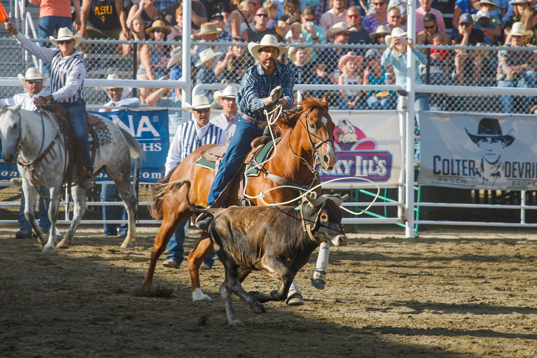 Team Roping, Home of Champions Rodeo, Red Lodge, MT.  Click for next photo.