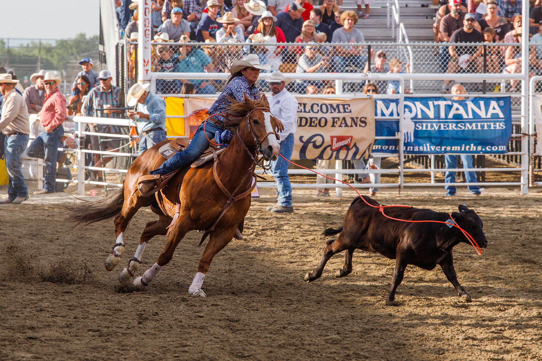 Breakaway Roping, Home of Champions Rodeo, Red Lodge, MT.  Click for next photo.