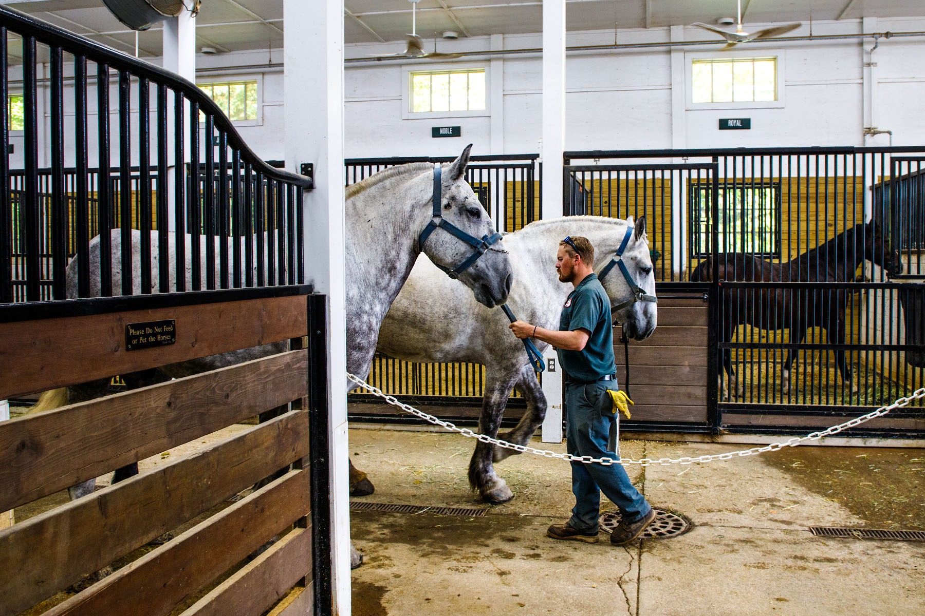 Grand Hotel stables, Mackinac Island, Michigan.  Click for next photo.