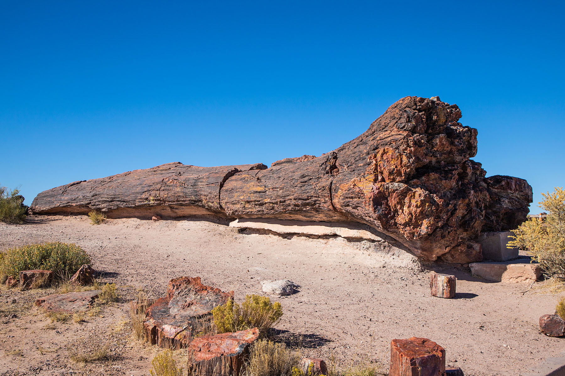 Petrified Forest National Park.  Click for next photo.
