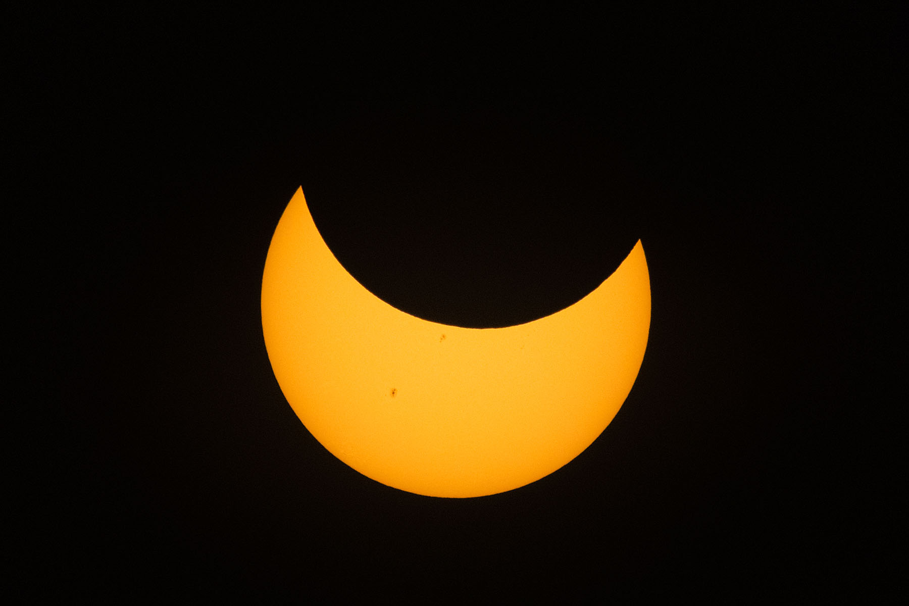 Annular solar eclipse, 36 minutes before peak, film solar filter on 100-400mm camera lens, 1.4x extender, Canon R10 camera.  Click for next photo.