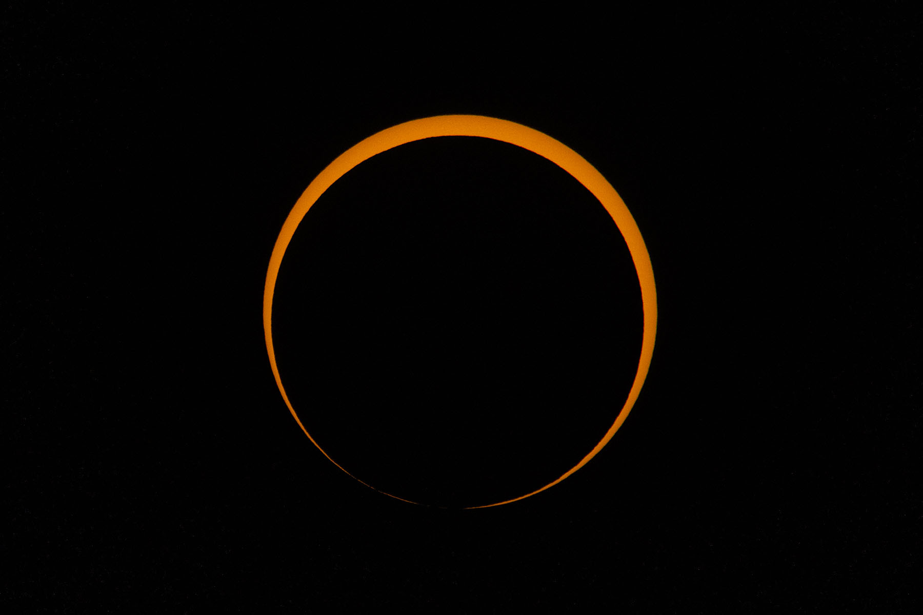 Annular solar eclipse, three minutes after peak, film solar filter on 100-400mm camera lens, 1.4x extender, Canon R10 camera.  Click for next photo.