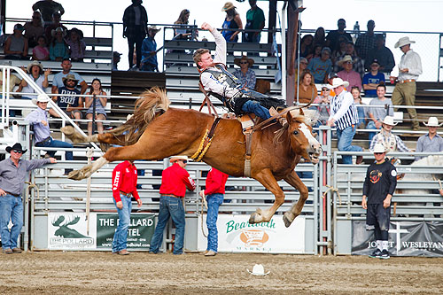 Bareback Bronc, Home of Champions Rodeo, Red Lodge, MT.
