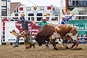 Cowboy runs for it, PRCA Xtreme Bulls, Red Lodge, MT.
