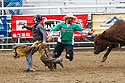 Bullfighter Ezra Coleman steps in, PRCA Xtreme Bulls, Red Lodge, MT.
