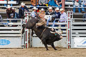 PRCA Xtreme Bulls, Red Lodge, MT.