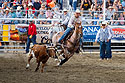 Team Roping, Home of Champions Rodeo, Red Lodge, MT.