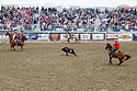 This is what it looks like if you do it right.  Team Roping, Home of Champions Rodeo, Red Lodge, MT.