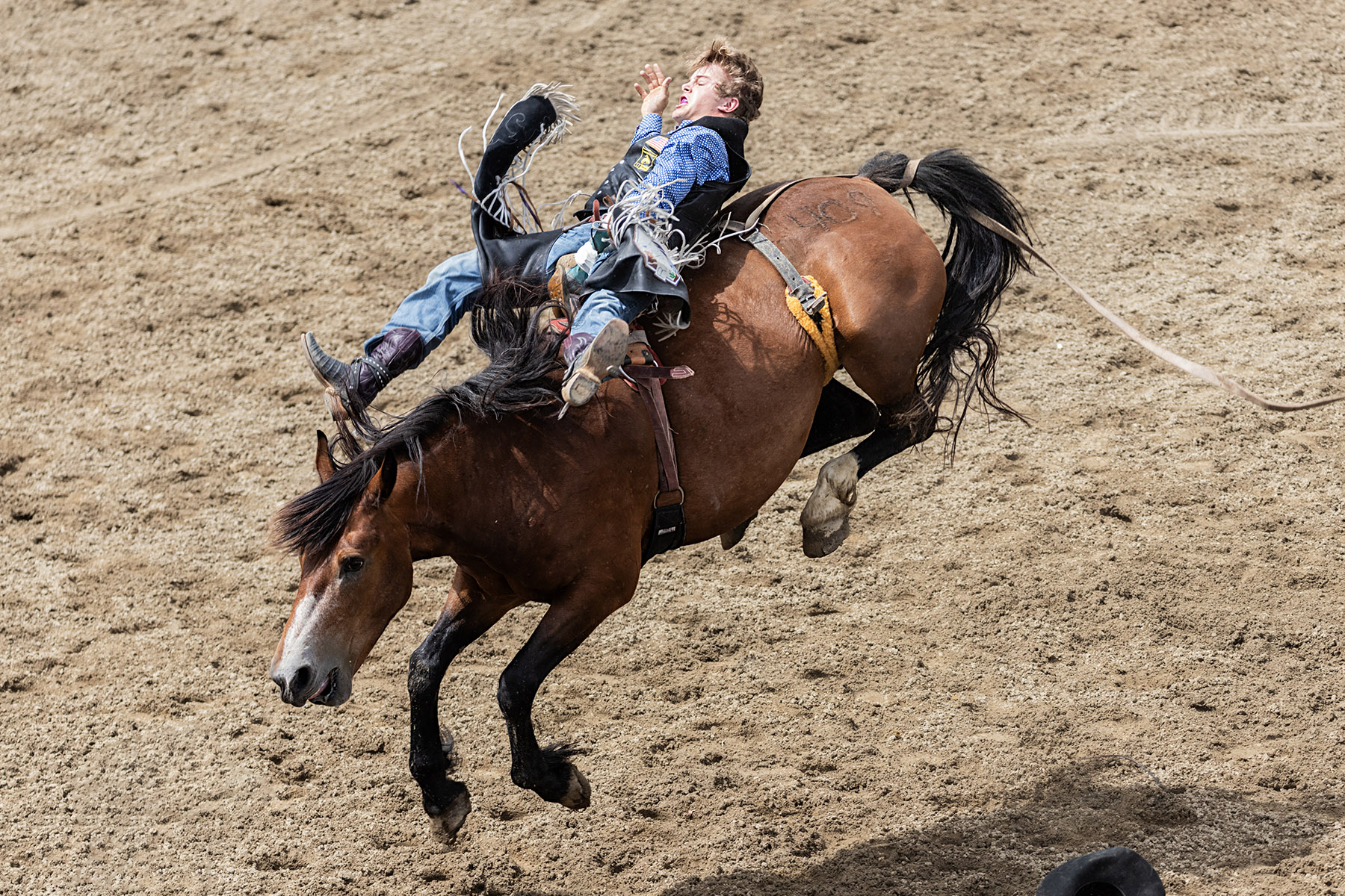 Home of Champions Rodeo, bareback bronc riding, Red Lodge, July 4.  Click for next photo.