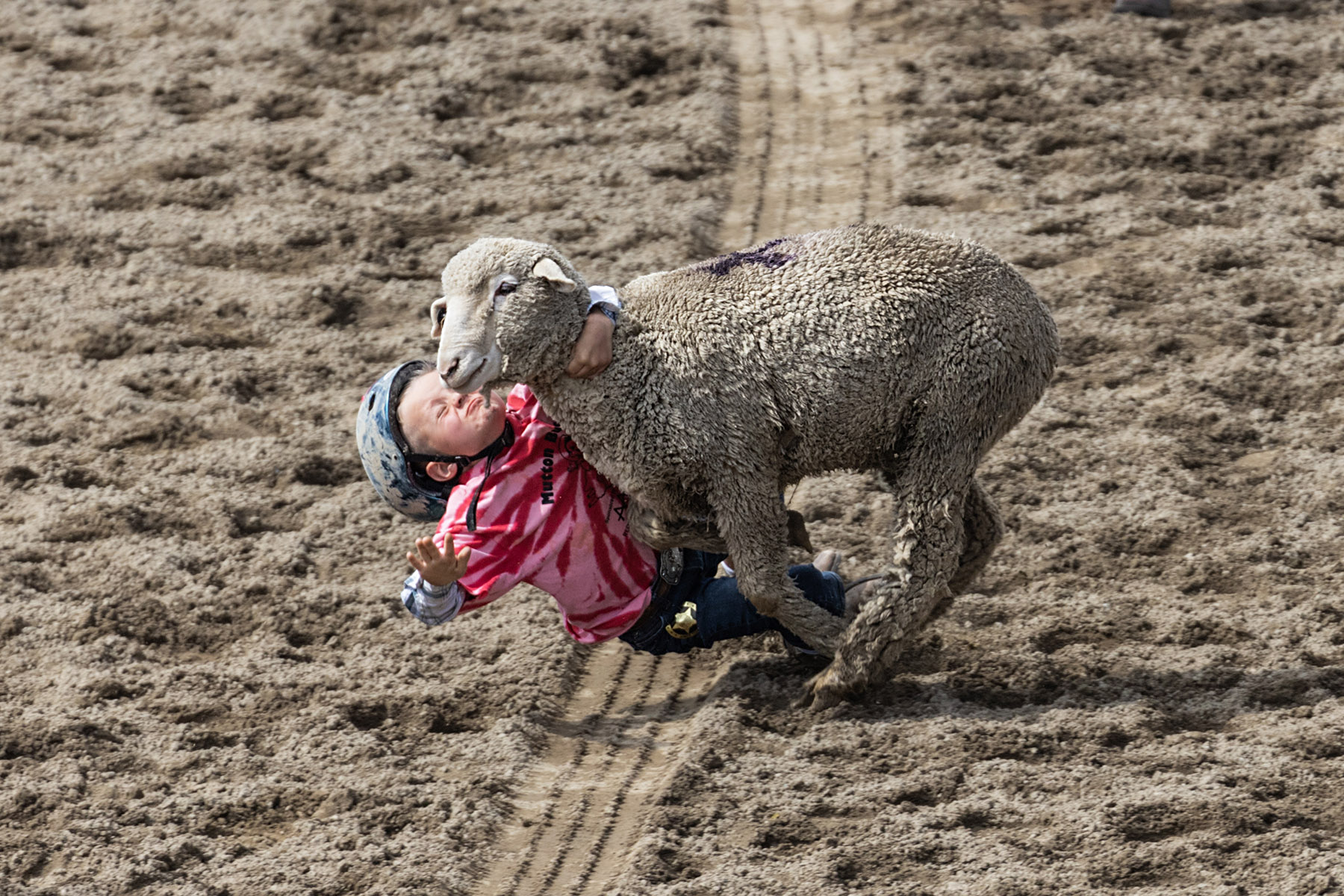 Home of Champions Rodeo, mutton busting, Red Lodge, July 4.  Click for next photo.