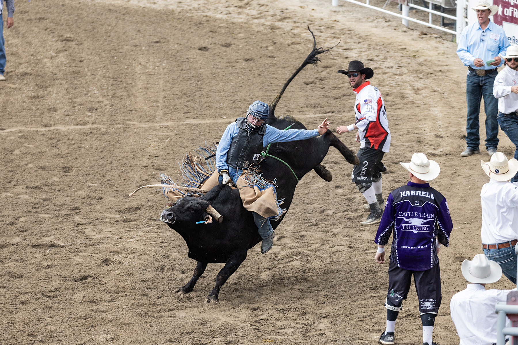 Home of Champions Rodeo, bull riding, Red Lodge, July 4.  Click for next photo.