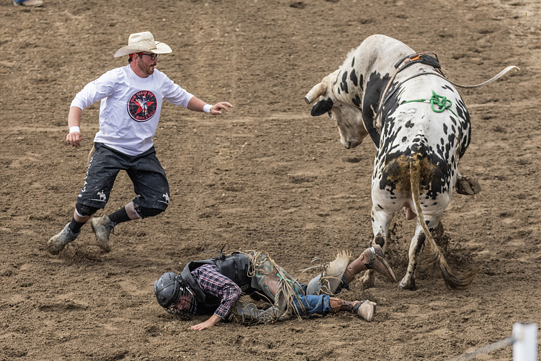 Home of Champions Rodeo, bull riding (3 of 3), Red Lodge, July 4.  Bullfighter Ezra Coleman distracts the bull.  Click for next photo.