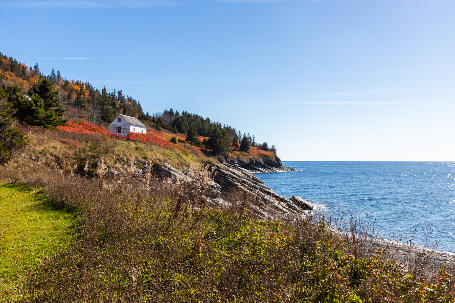 Cape Gaspe, Quebec.  Click for next photo.