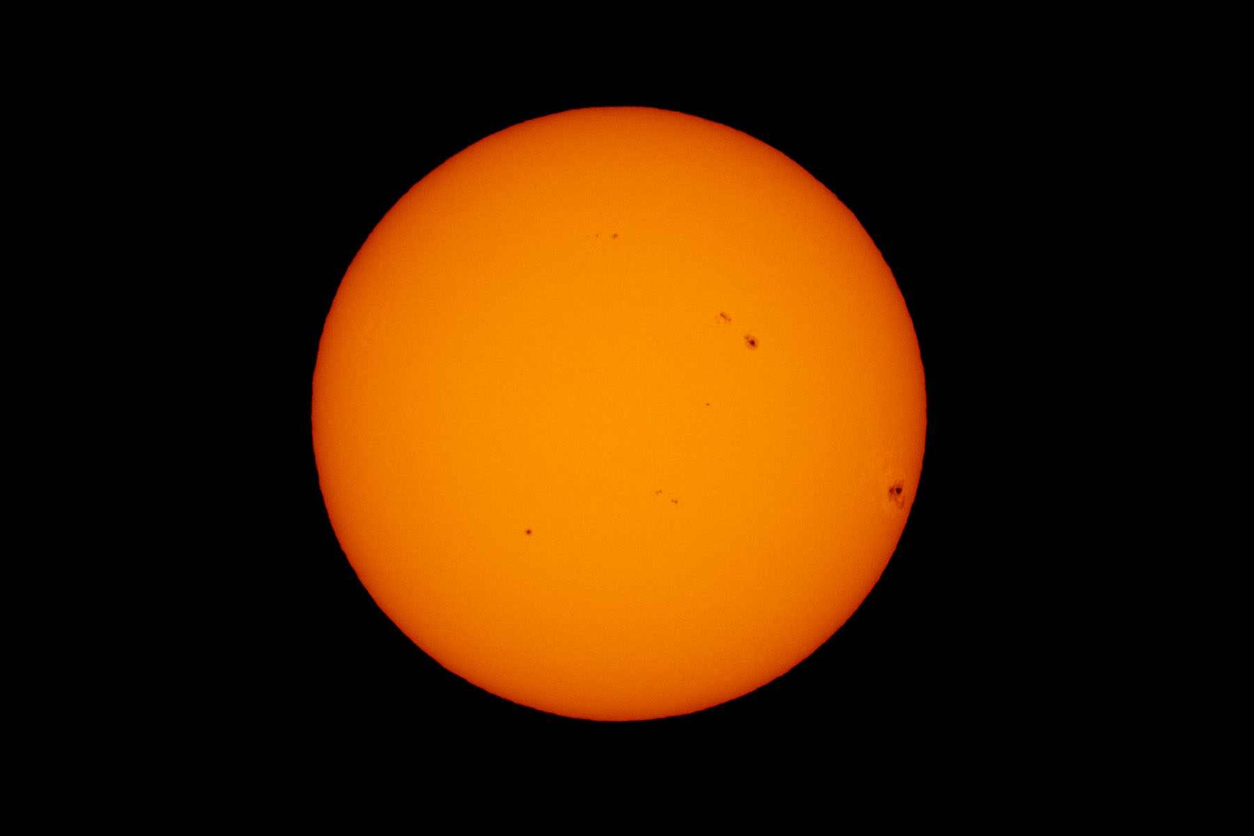 Sunspots on Leap Year, film (orange) filter.  Click for next photo.