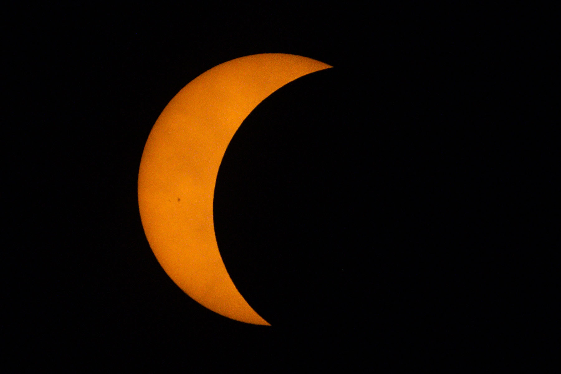 Partial phase of the eclipse, orange mylar filter.  Click for next photo.