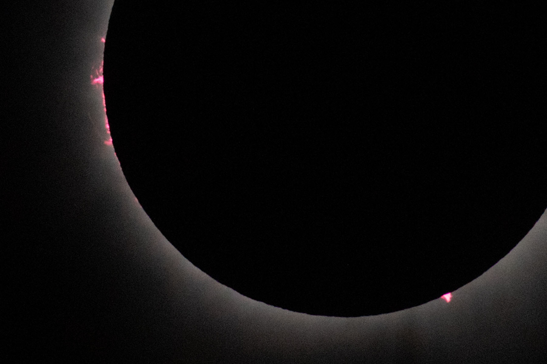 Eclipse totality, prominences visible.  Click for next photo.