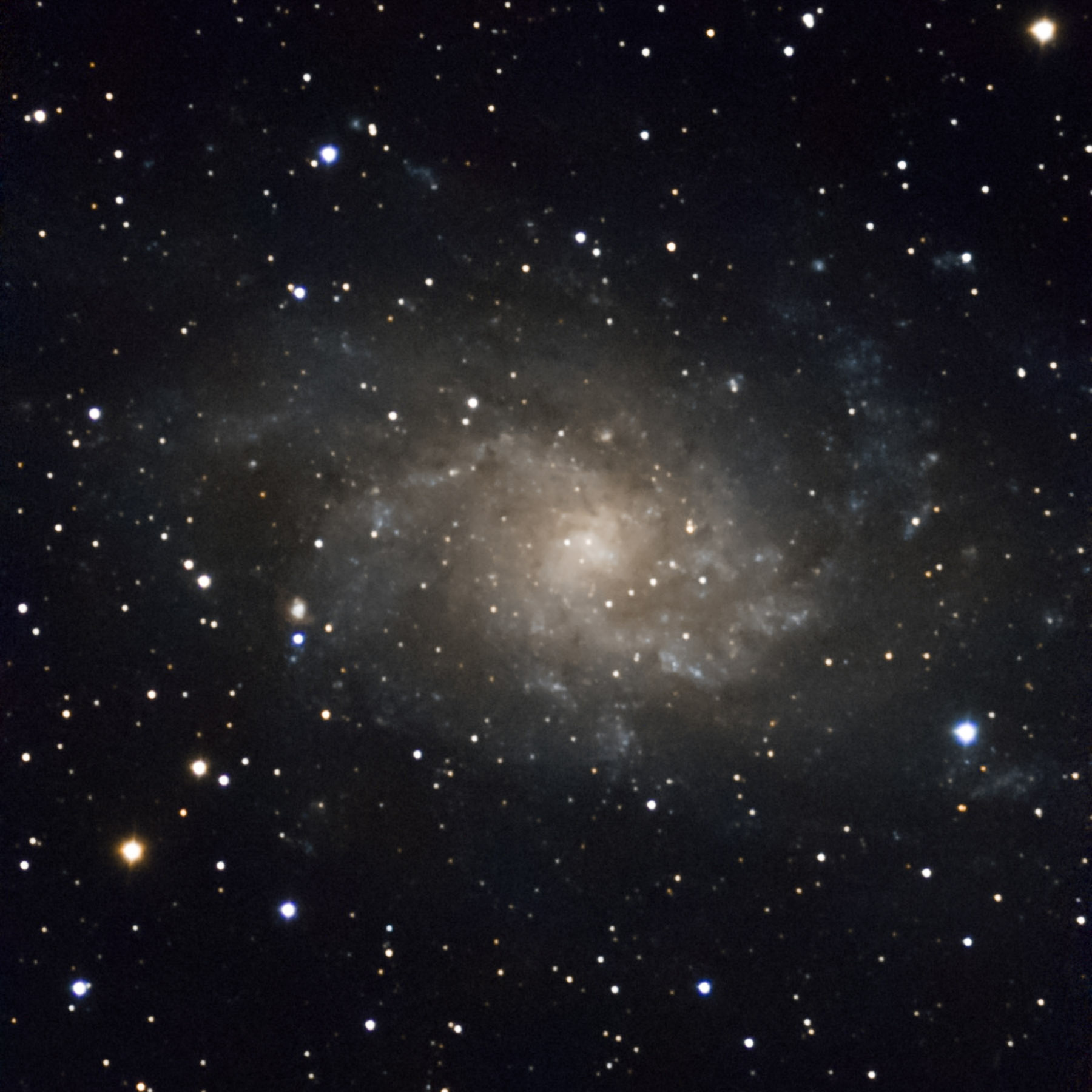 The Triangulum Galaxy M33, Seestar S50.  Click for next photo.