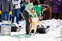 An annual winter event in Red Lodge, the Red Lodge Ales Dog Pull.